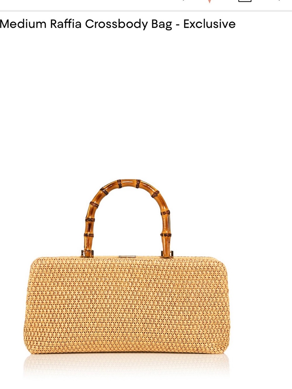 Raffia Top-Handle Crossbody Bag in Natural —-Aqua